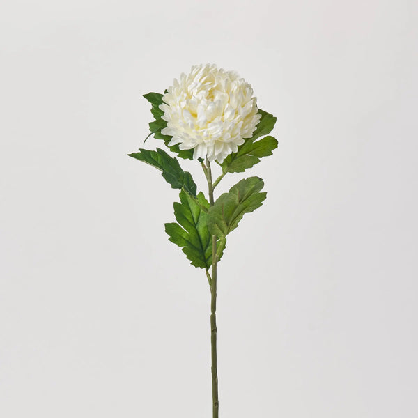ま*す様 MURRAL Inflate blooming top ホワイト 1サ ま*す様 MURRAL