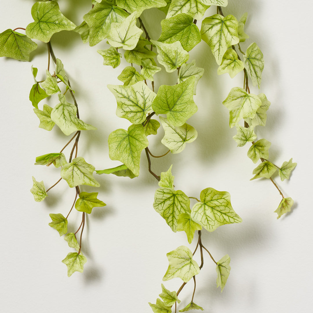 FLWSTM1883RealTouchSpringIvyLe