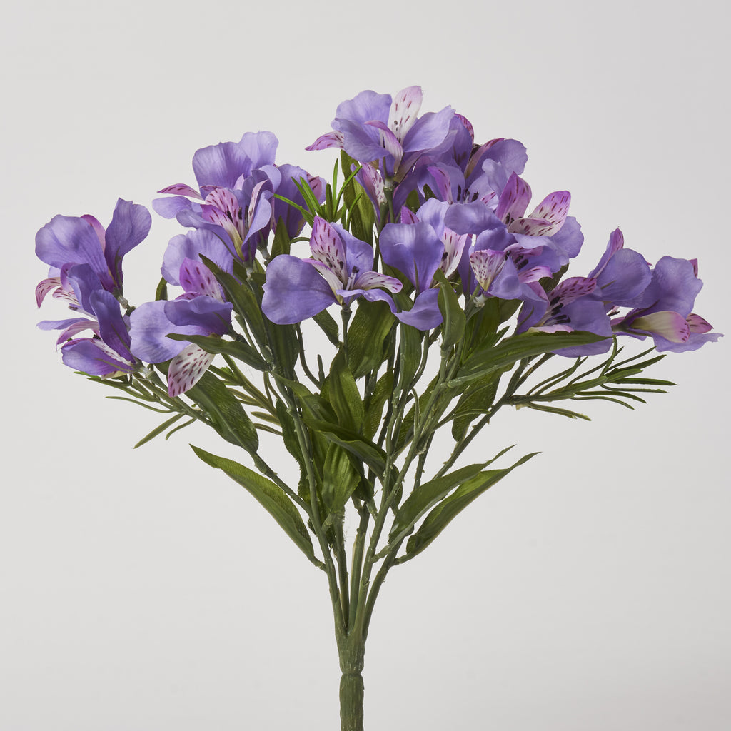 FLWSTM1915AlstroemeriaBloomsFa