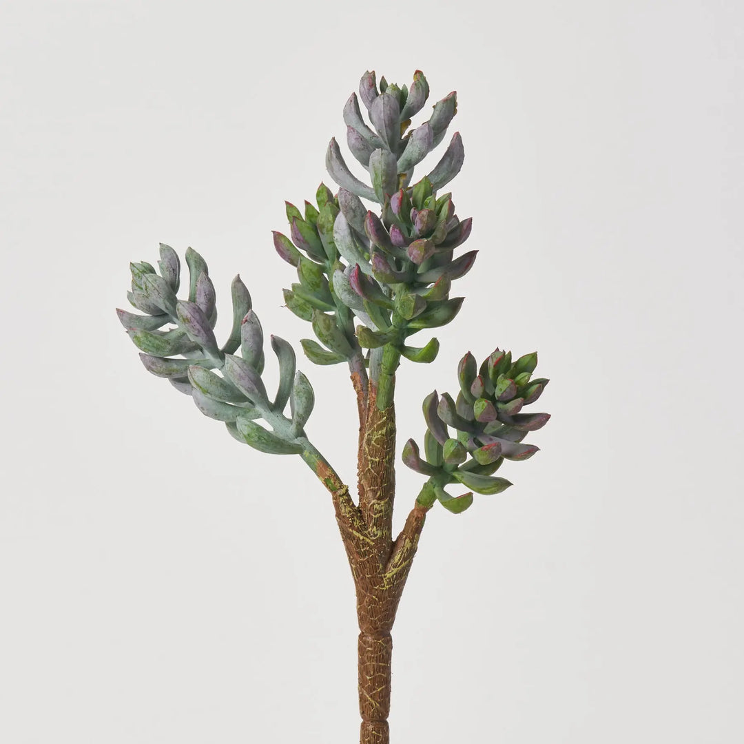 Dusty Sage Green Finger Jade Pick Soft PE Succulent Plant Spray 12