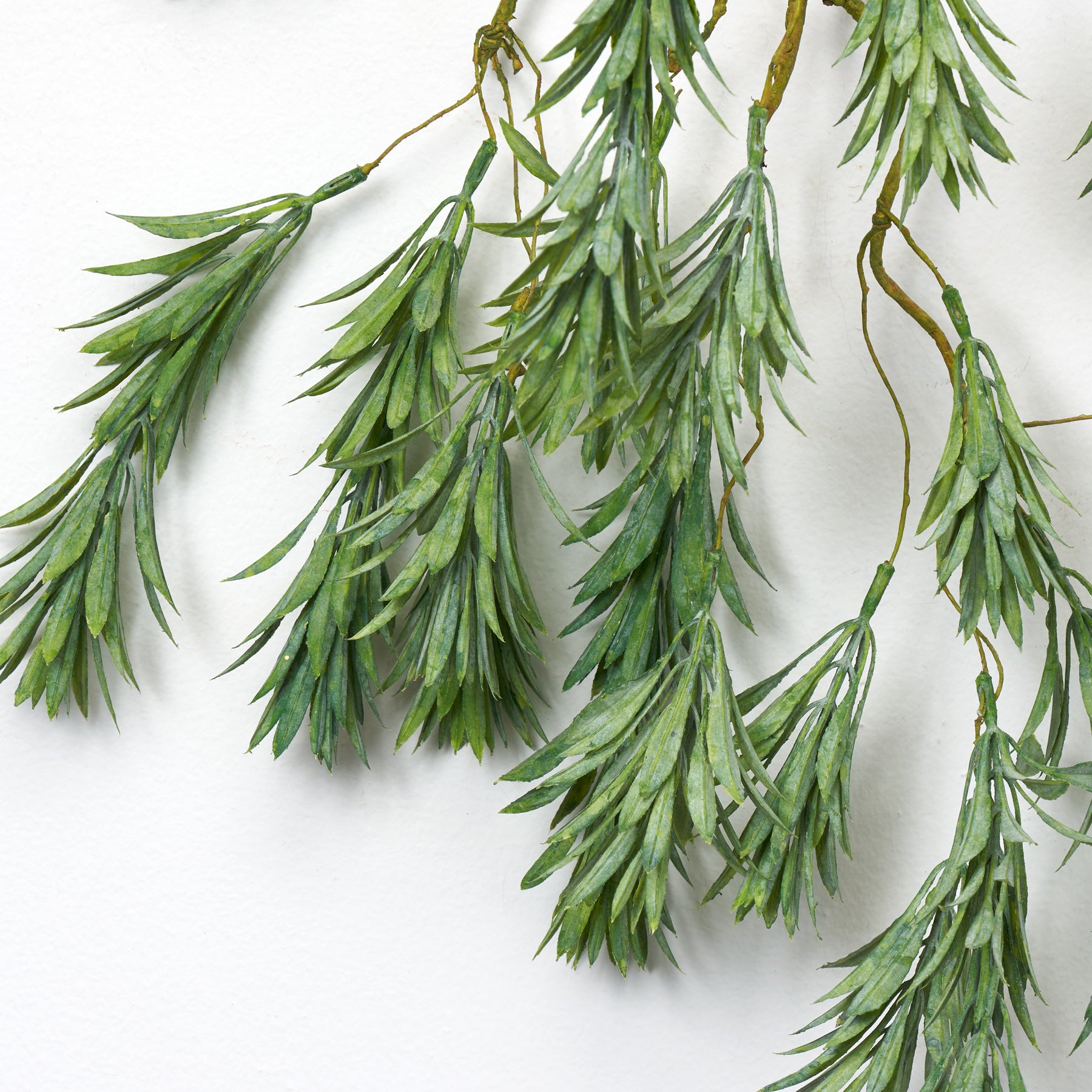 Evergreens & Branches – Darby Creek Trading