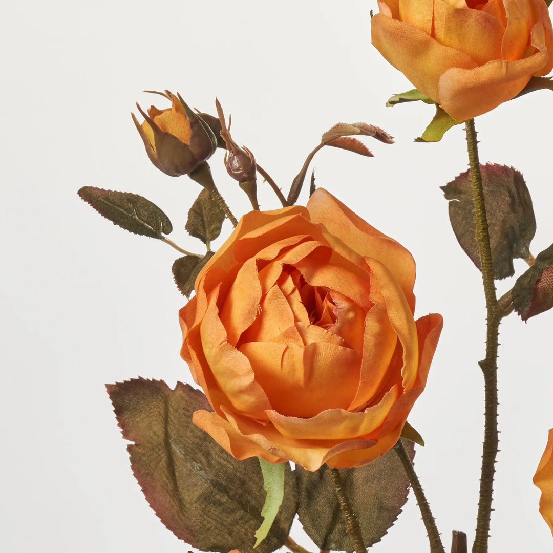 Single Stem Orange Rose