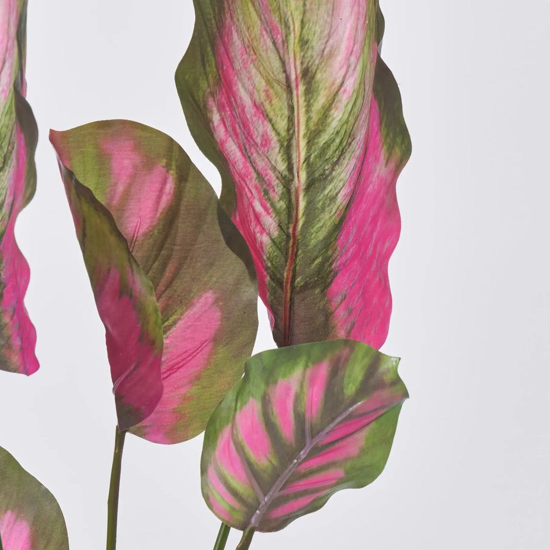 calathea plant pink Natural Pink & Green Calathea Plant Spray Everyday Faux Houseplant – Darby  Creek Trading