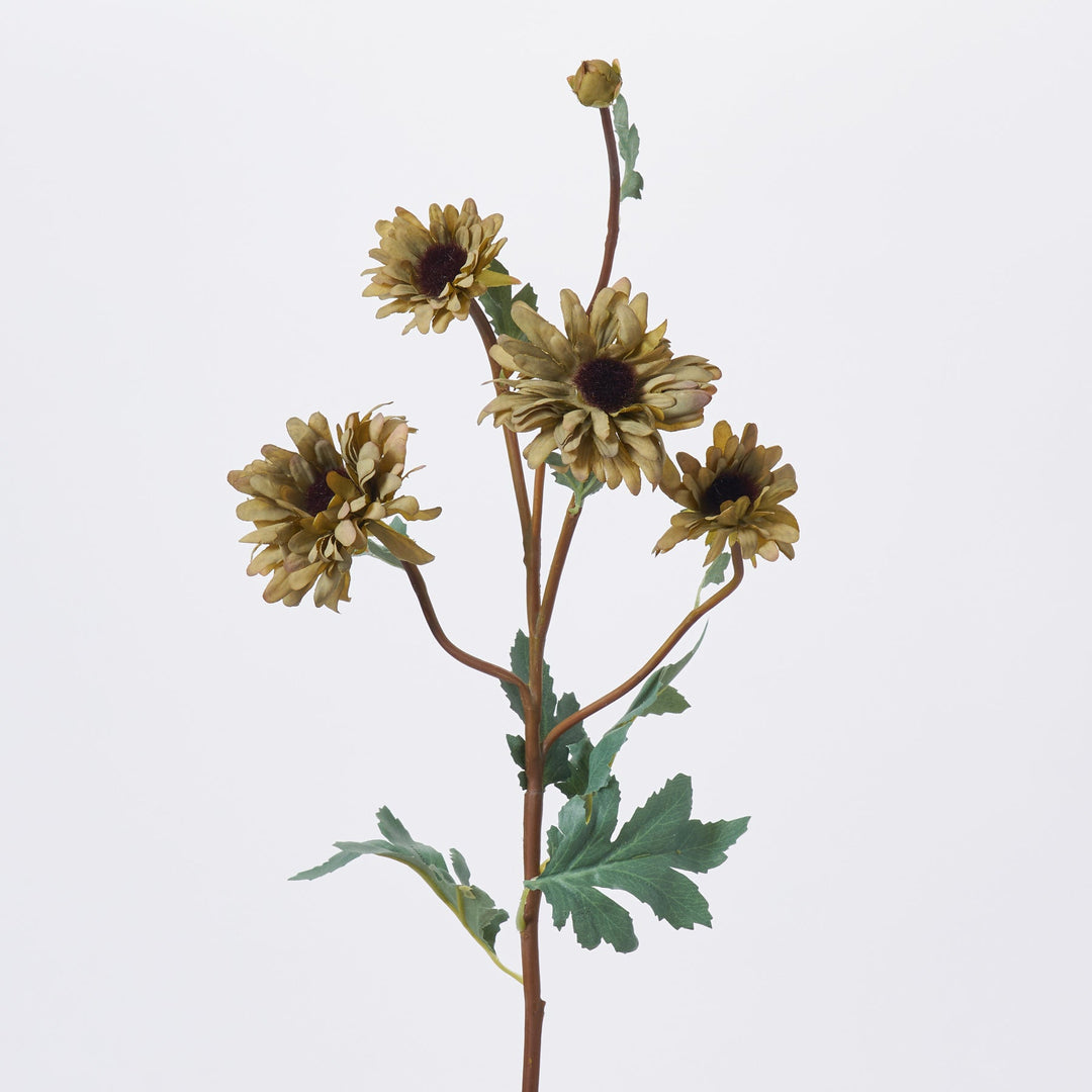 Dried Look Olive Green Gerbera Daisy Blooms & Bud Single Stem Faux Floral  Spray - 28