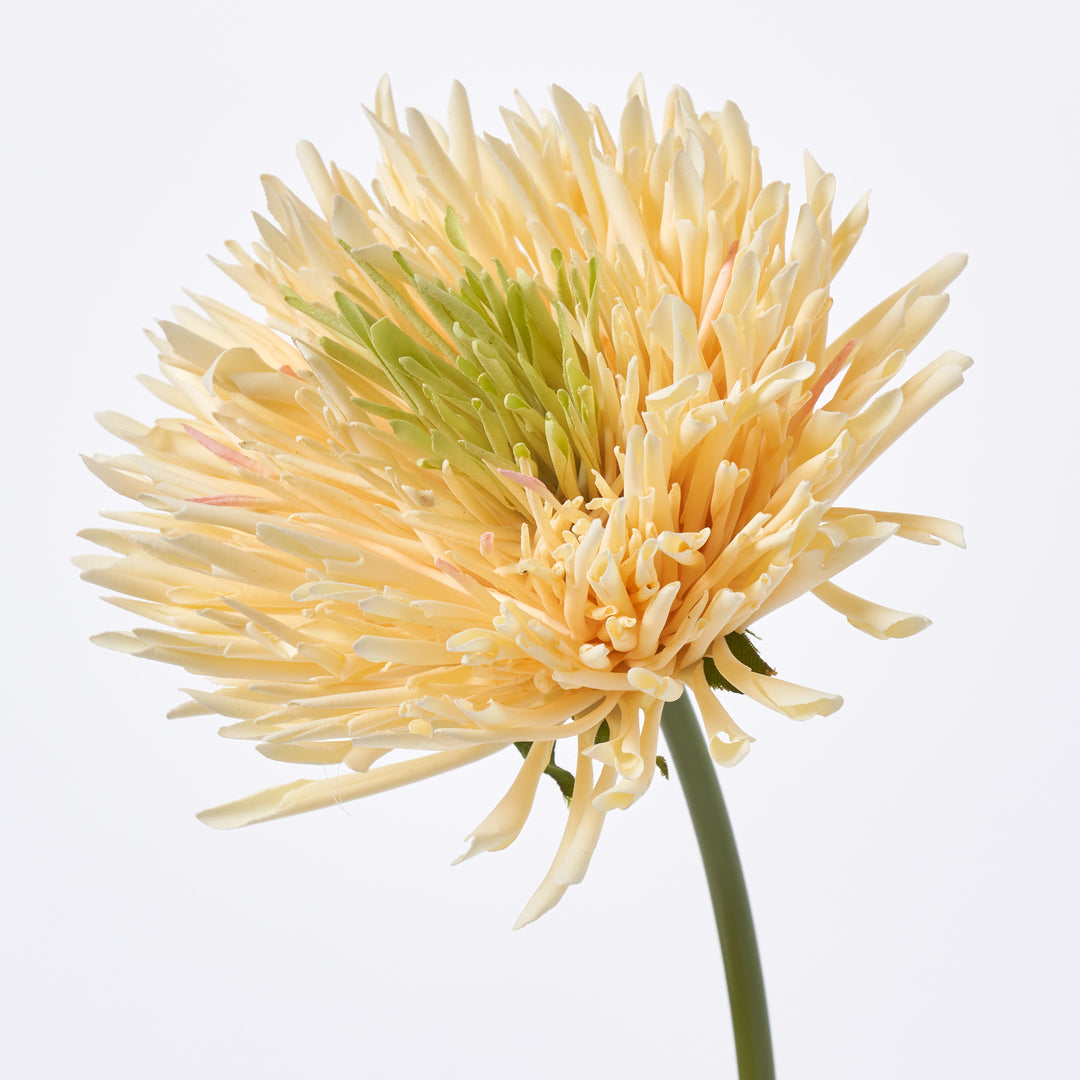 Light Yellow Chrysanthemum Mum Bloom Single Stem Faux Floral