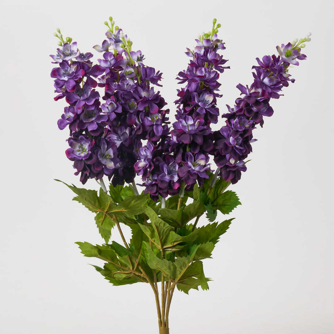 WACKOMARIA DORMEUIL ダークパープル　XL Sapphire Showers Duranta Tree for Sale | Duranta erecta Patio Tree