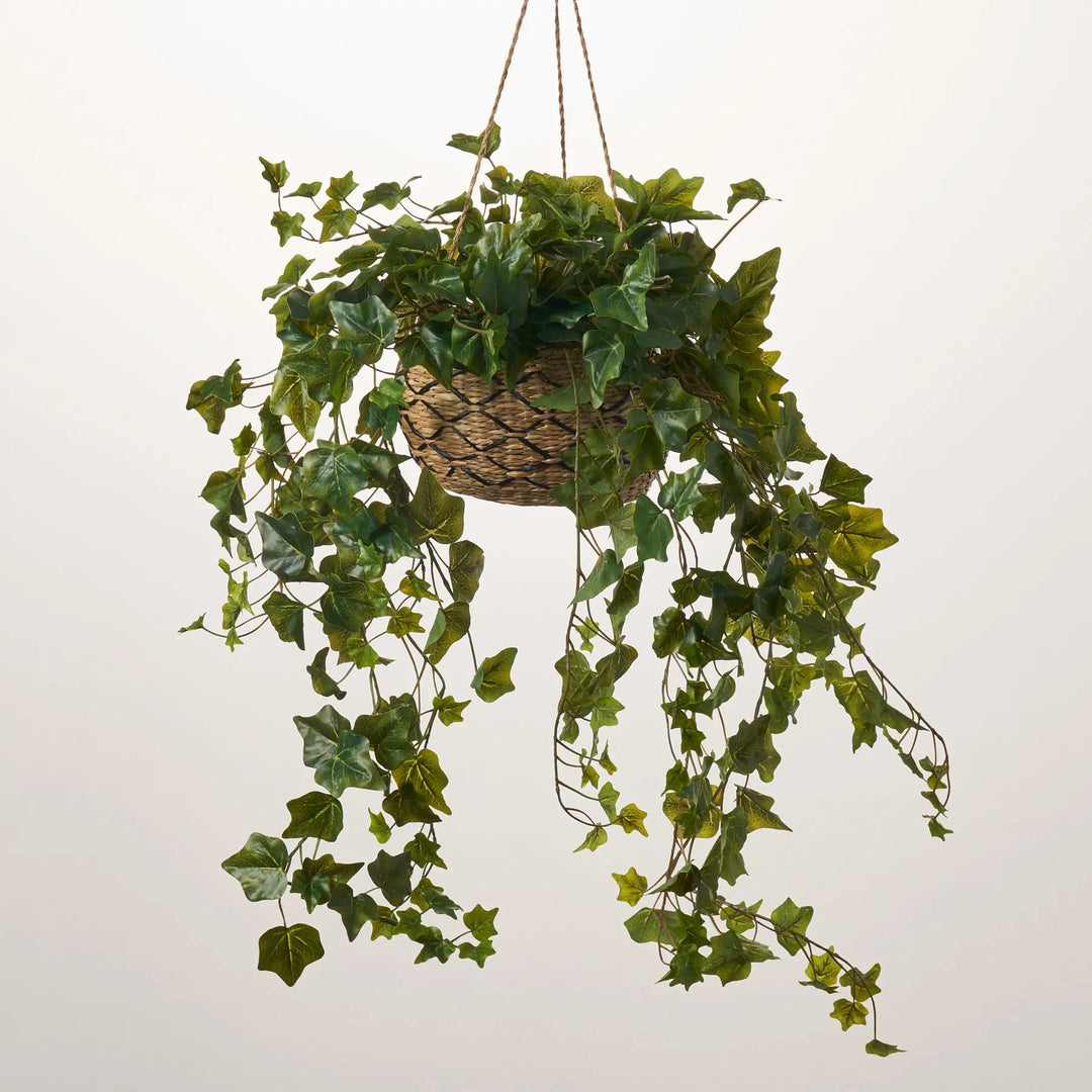 common ivy hanging plant Hanging Green Ivy Leaf Foliage All Seasons Greenery Bush Spray - 31"