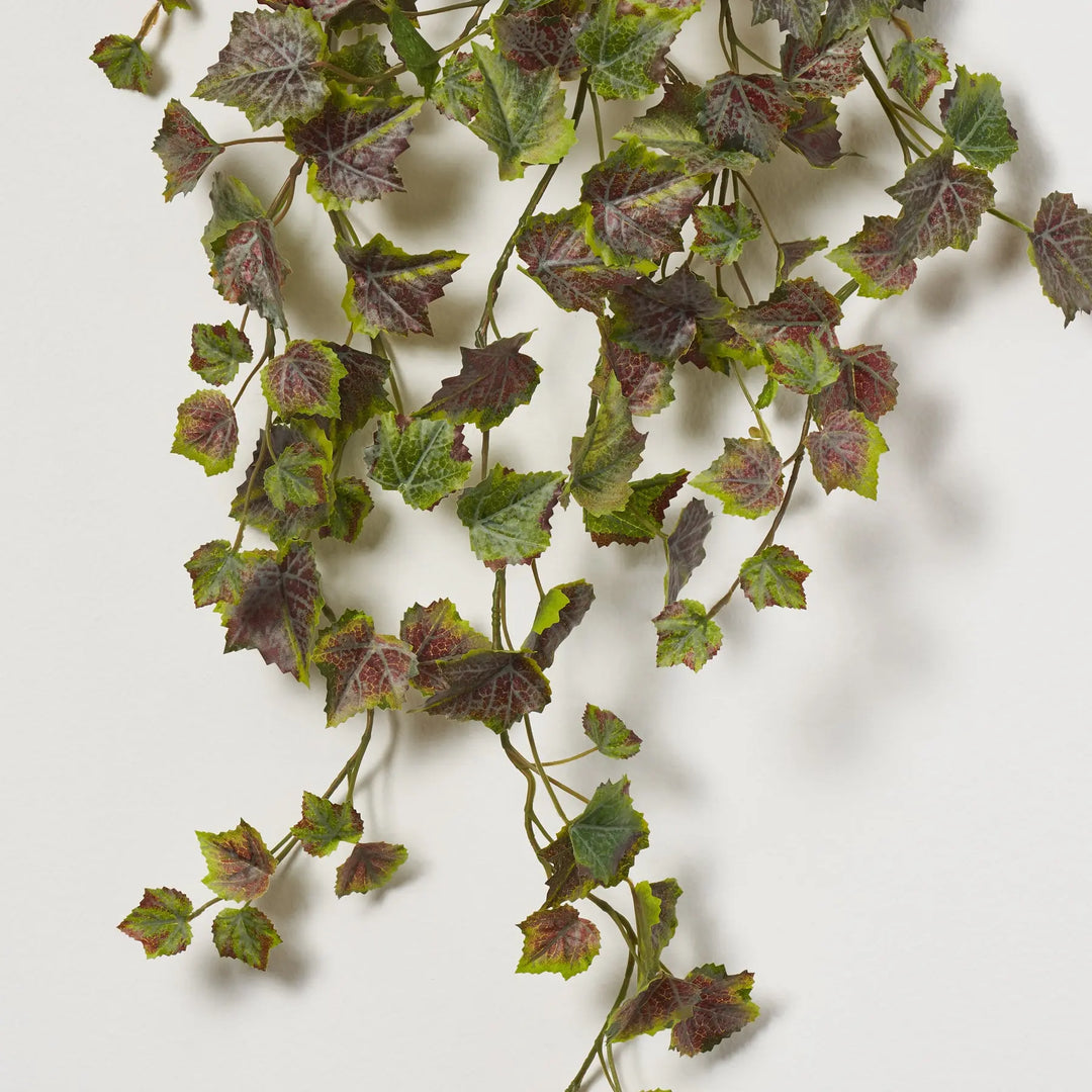 purple ivy plant indoor Hanging Variegated Purple & Green Ivy Leaf Foliage All Seasons