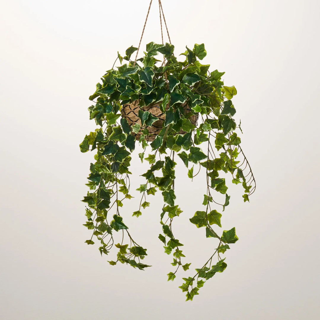 Hanging Variegated Ivy Leaf Foliage All Seasons Greenery Bush Spray