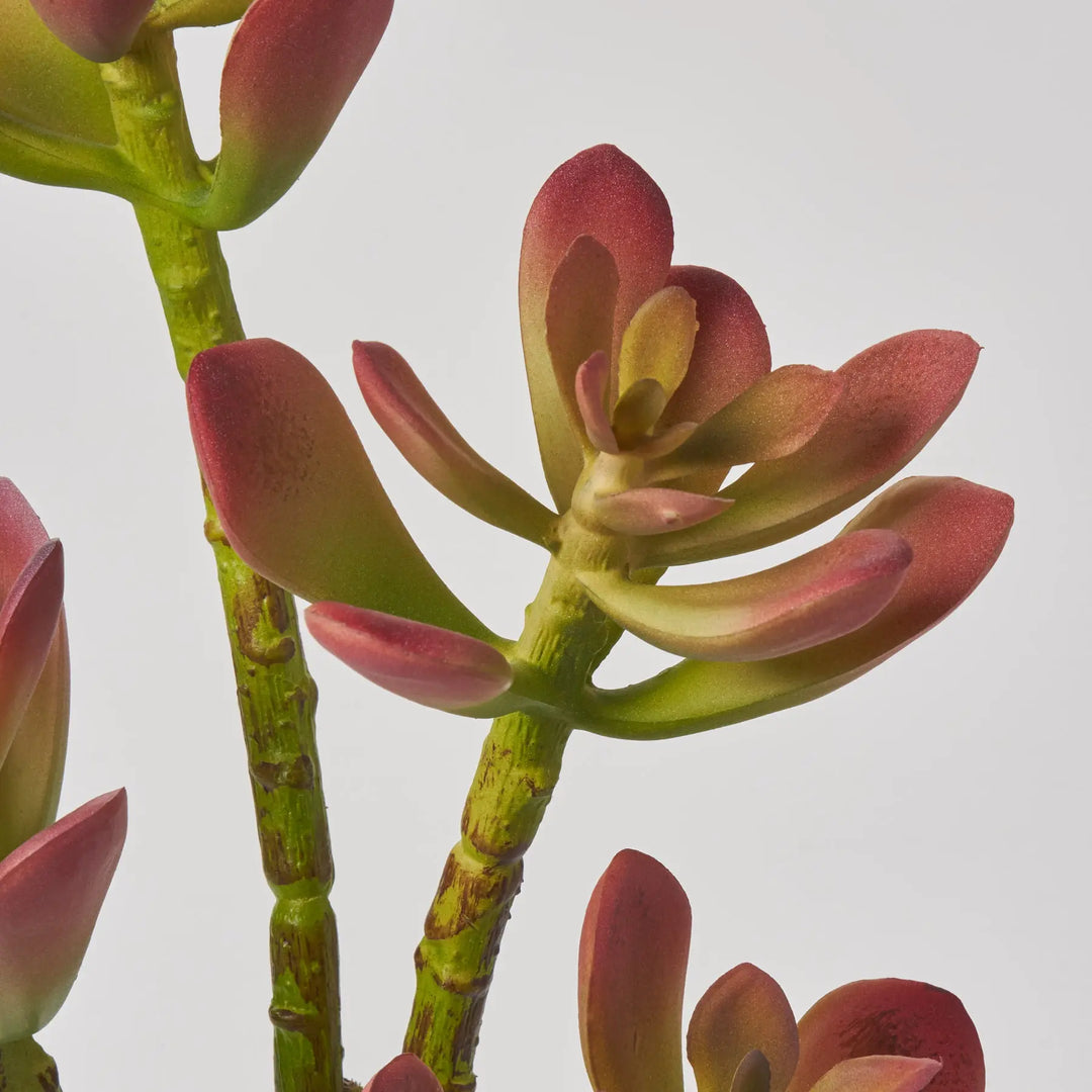 Mauve Pink & Green Ice Plant Soft PE Succulent Spray - 19