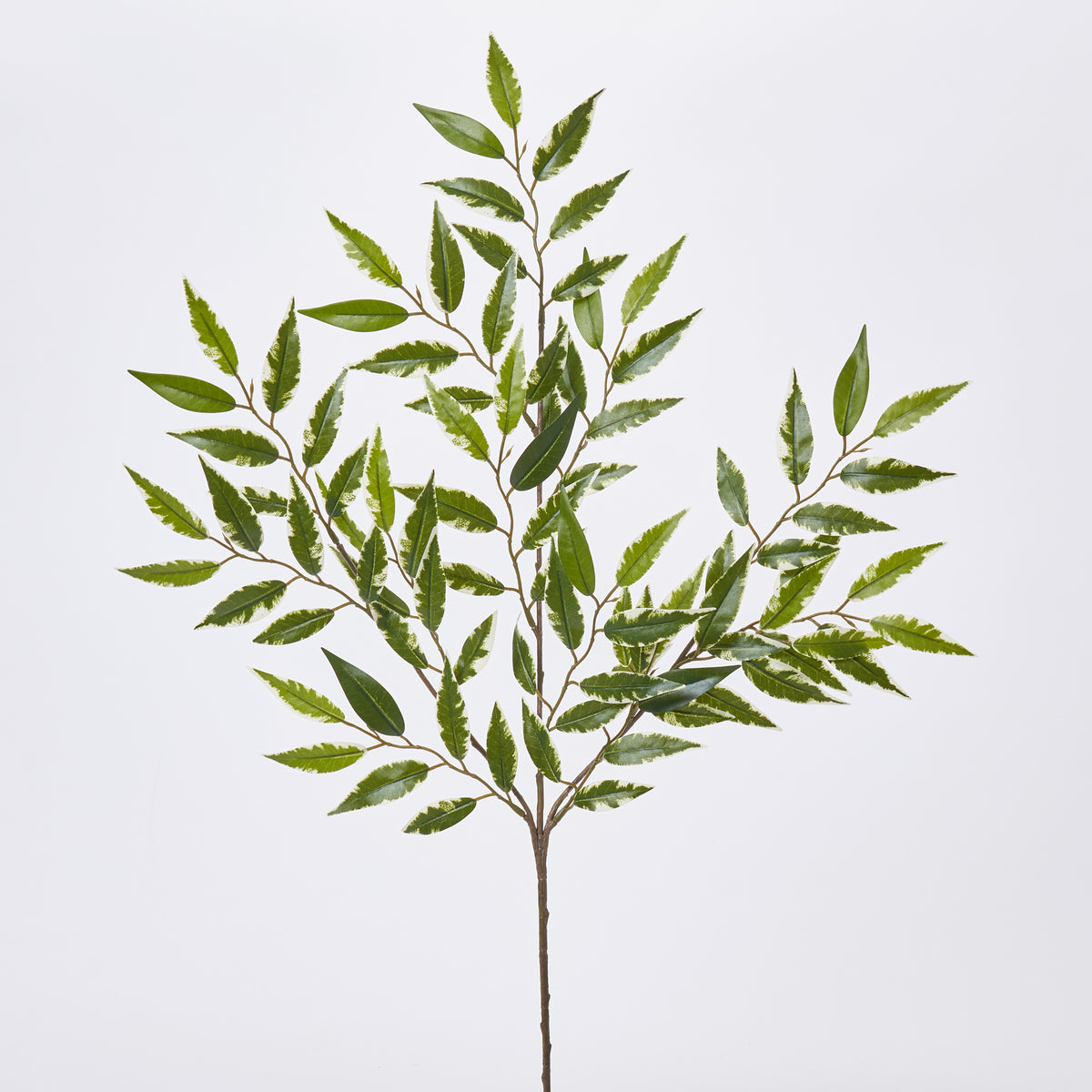 Variegated Green All Season Smilax Leaf Branch Everyday Faux Greenery ...