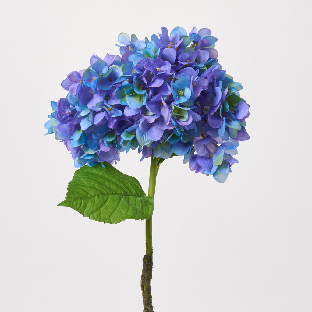 Flower 10thシングル　「blue sky blue」 Flower 10thシングル「Blue Sky Blue」4/29(水)Release | E