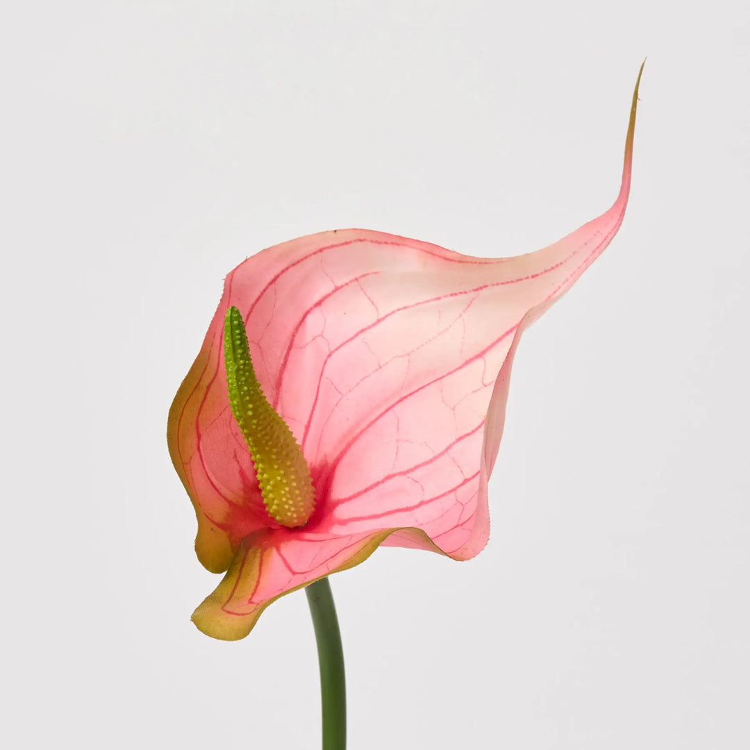 faux anthurium stems Tropical Pink Fantasy Anthurium Spray Single Bloom Faux Floral Stem