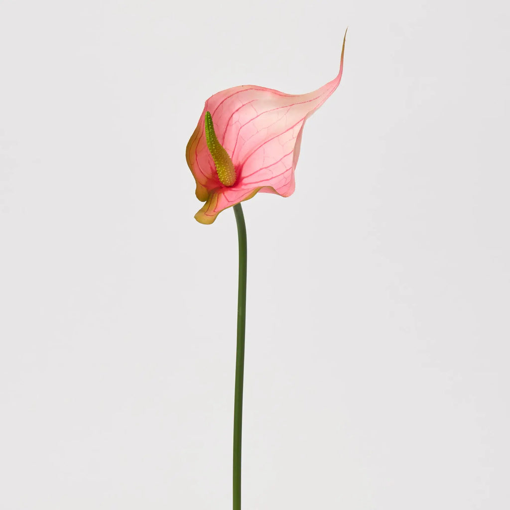 anthurium pink frost Tropical Pink Fantasy Anthurium Spray Single Bloom Faux Floral Stem
