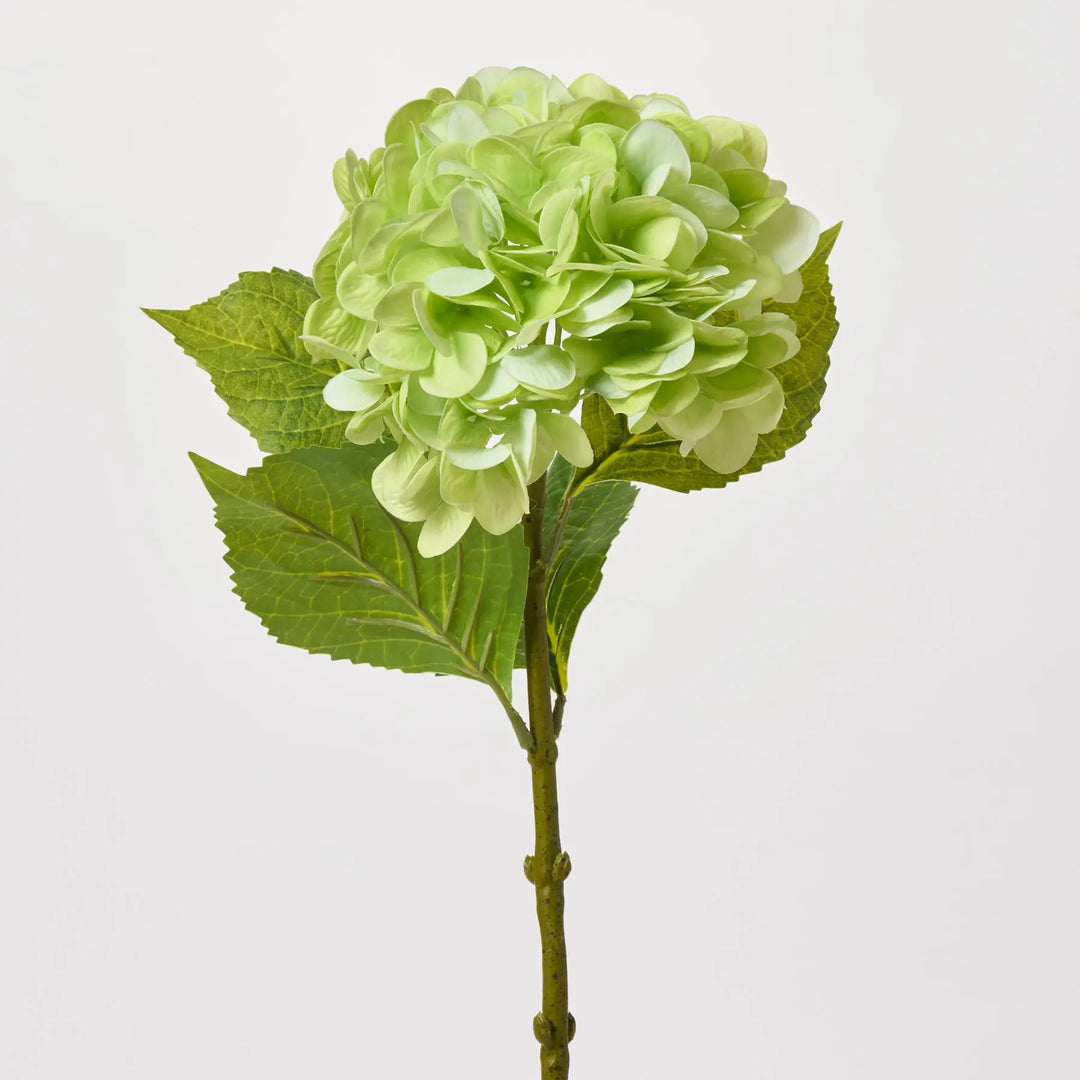 Real Touch Lime Green Hydrangea Bloom Single Stem Spray - 27