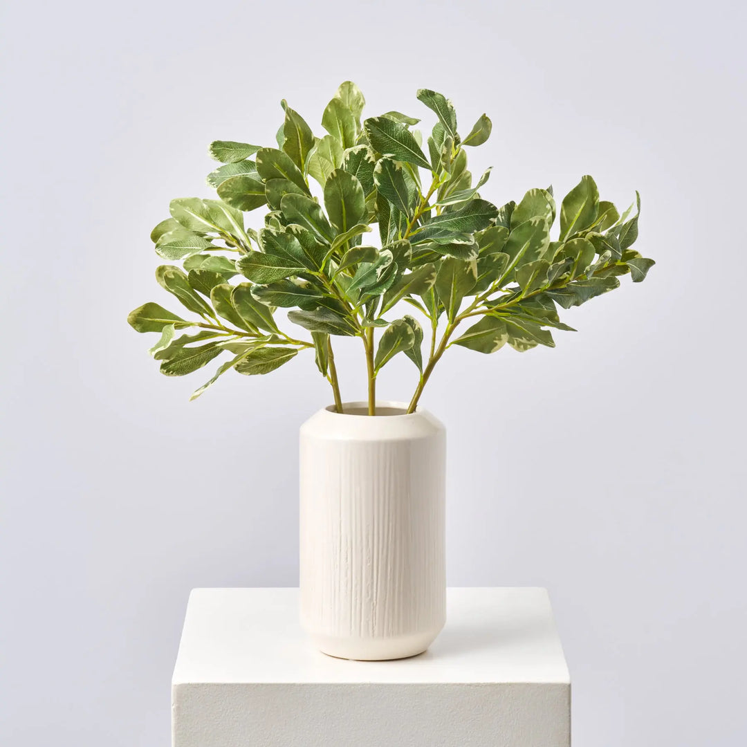 Variegated Green Pittosporum Branch Spray Faux All Seasons Real