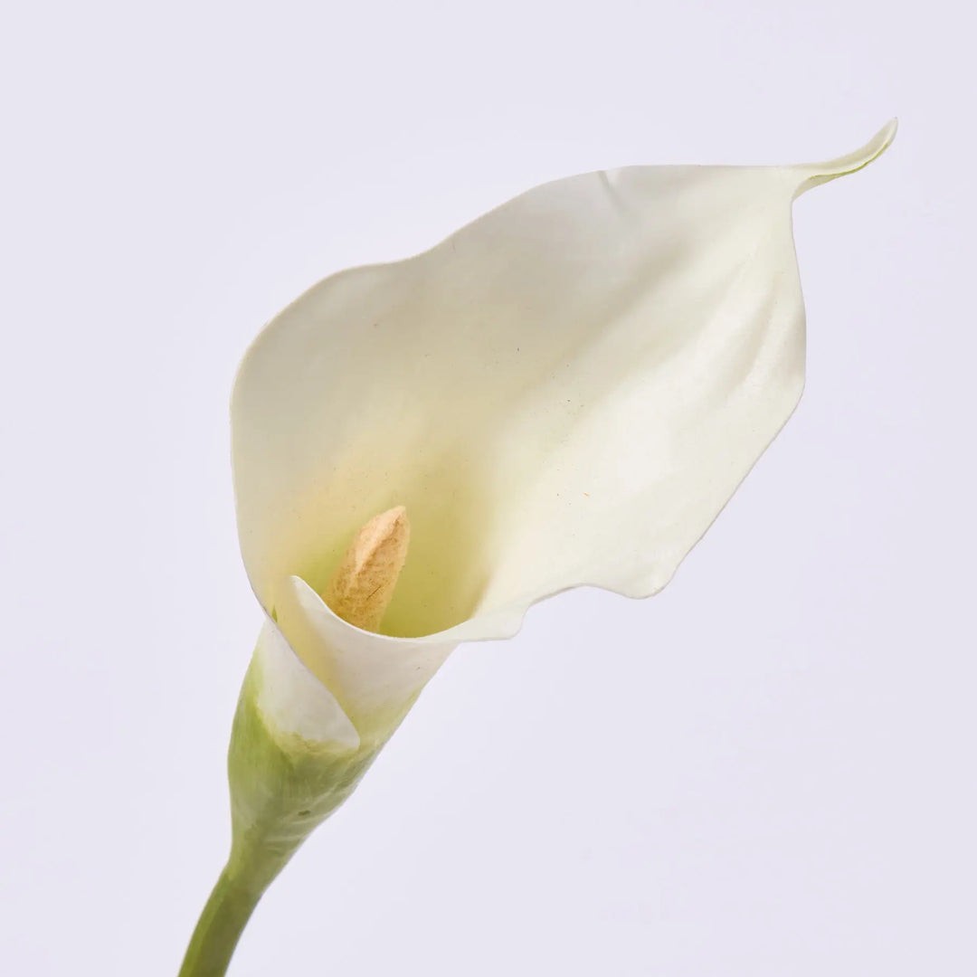 sophisticated white calla lily Real Touch White Calla Lily Artificial Stem 21"