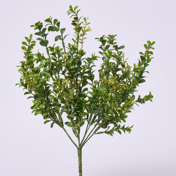 All Season Faux Variegated Boxwood Greenery Bush Spray - 17