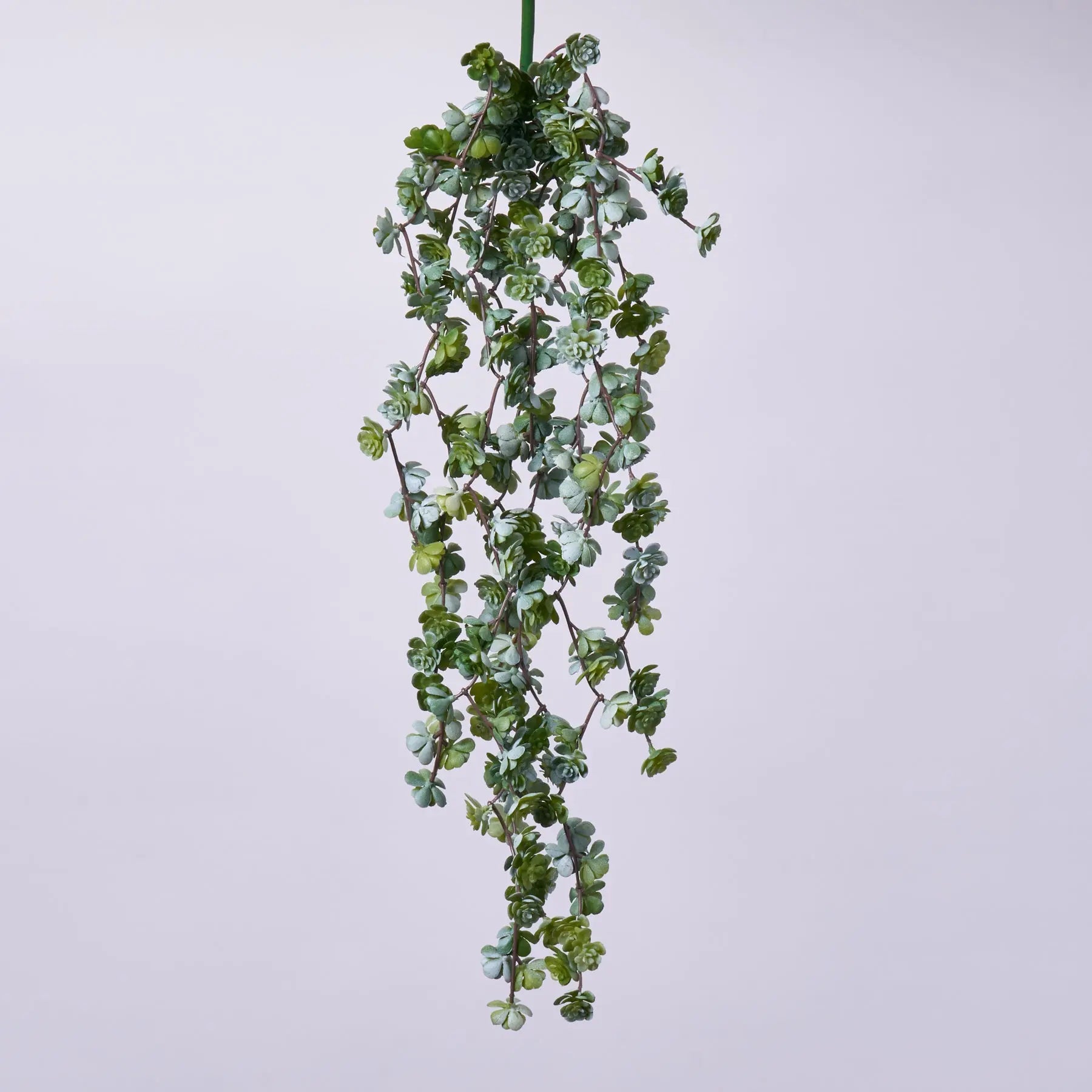 faux trailing succulent Forest Green Fountain Succulent Faux Hanging Vine Bush Spray - 22"