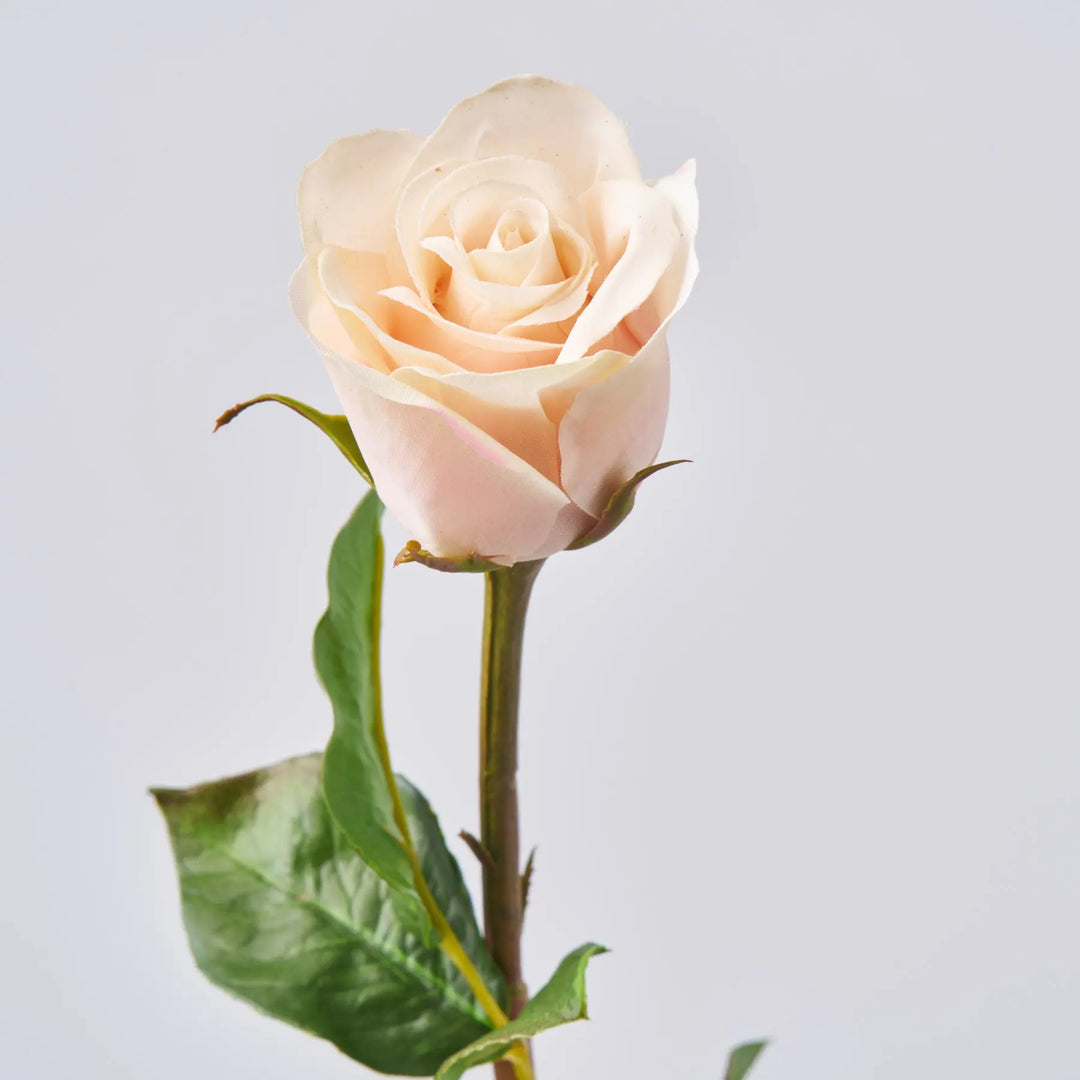 Real Touch Cream & Light Pink Dutchess Rose Small Bloom Single