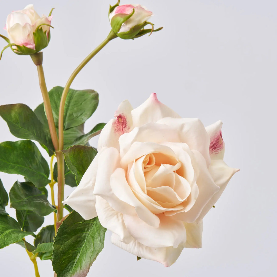 Real Touch Light Pink Sweet Juliette English Rose Bloom Single