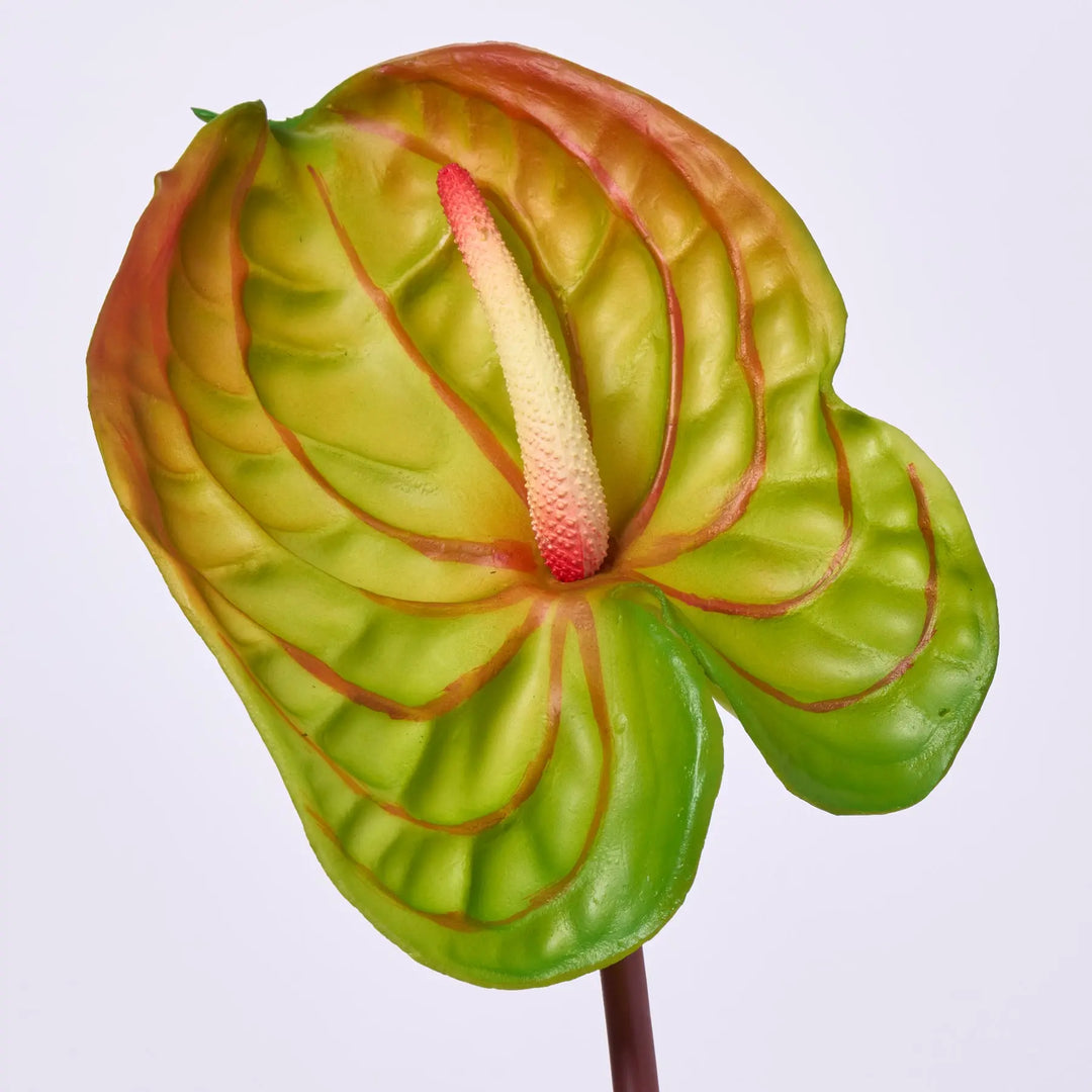 tropical anthurium Fruit Punch Tropical Anthurium Spray Single Bloom Faux Floral Stem