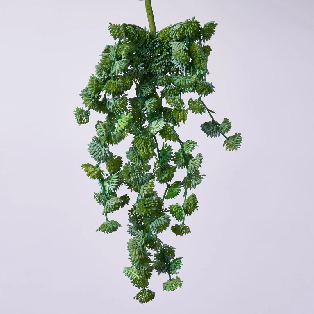hanging vine plants real Real Touch Frosted Green Sedum Leaf Faux Hanging Vine Pick Spray 17" –  Darby Creek Trading