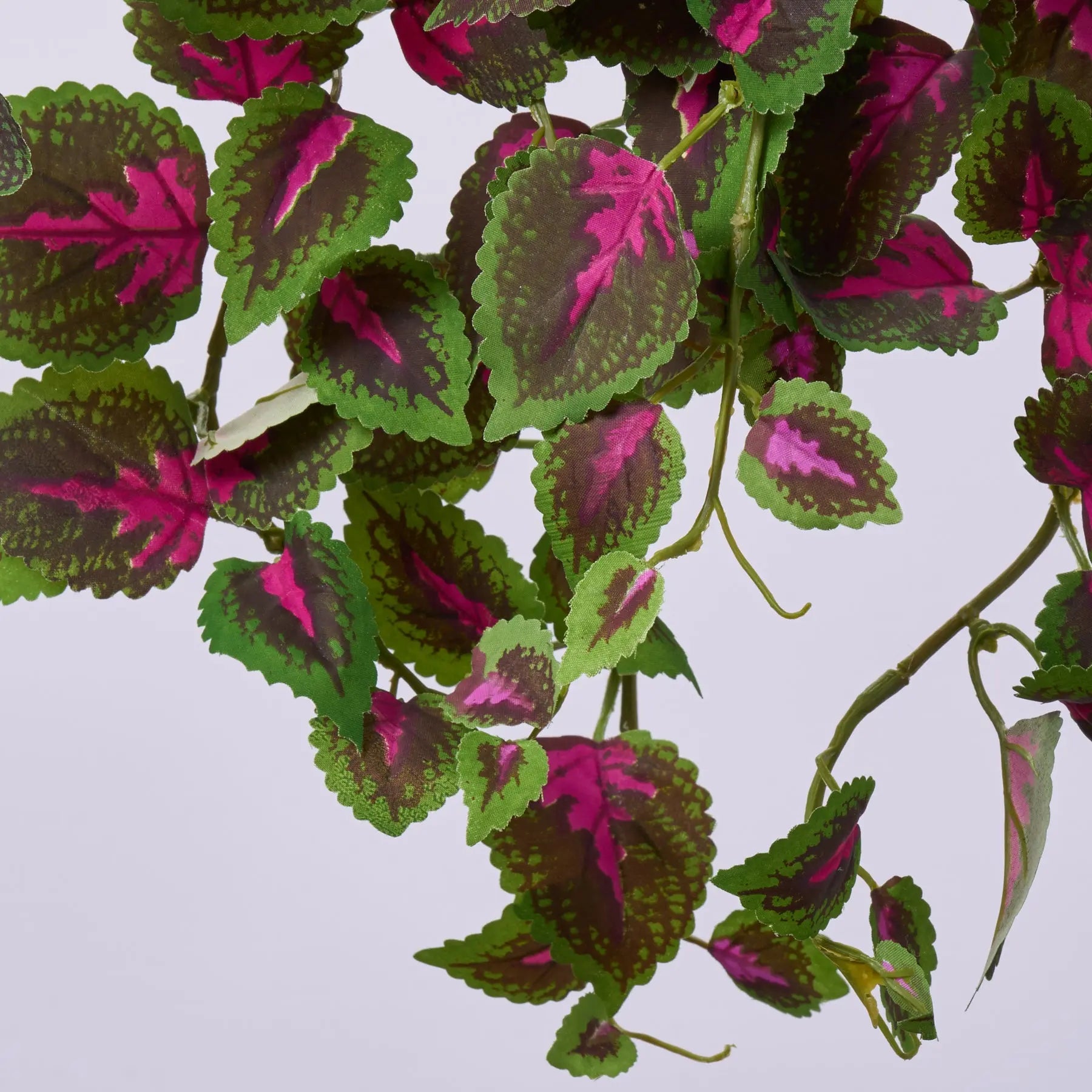 hanging coleus plants Mini Coleus Leaf Bush Bouquet Everyday Faux Greenery Spray - 20"