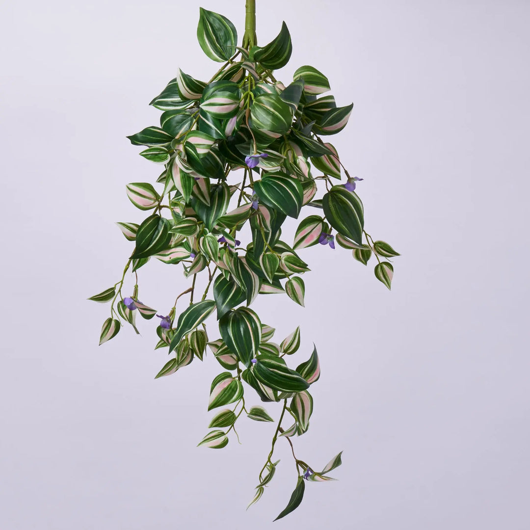 hanging dude plant Purple & Green Flowering Wandering Dude Hanging Faux Greenery Bush – Darby  Creek Trading