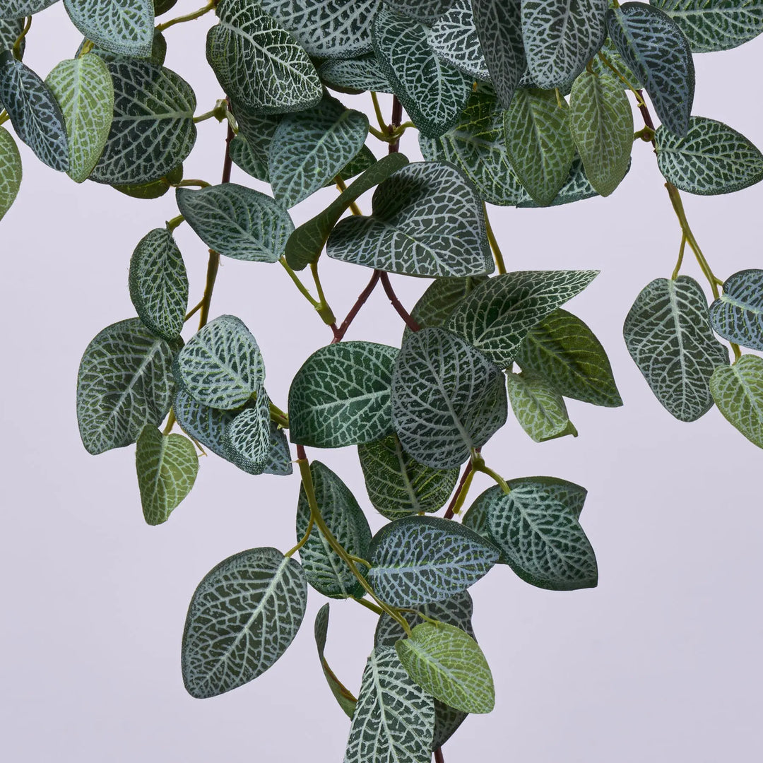 hanging nerve plant Tropical Hanging Fittonia Plant Vine Faux Everyday Greenery Bush Spray