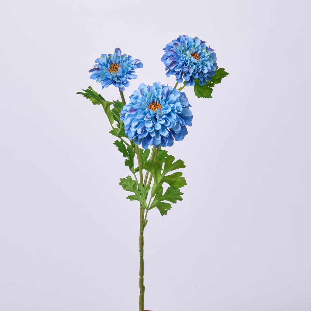 Flower 10thシングル　「blue sky blue」 Blue Sky Blue 【通常盤】 : Flower | HMV&BOOKS online - AICL-2865