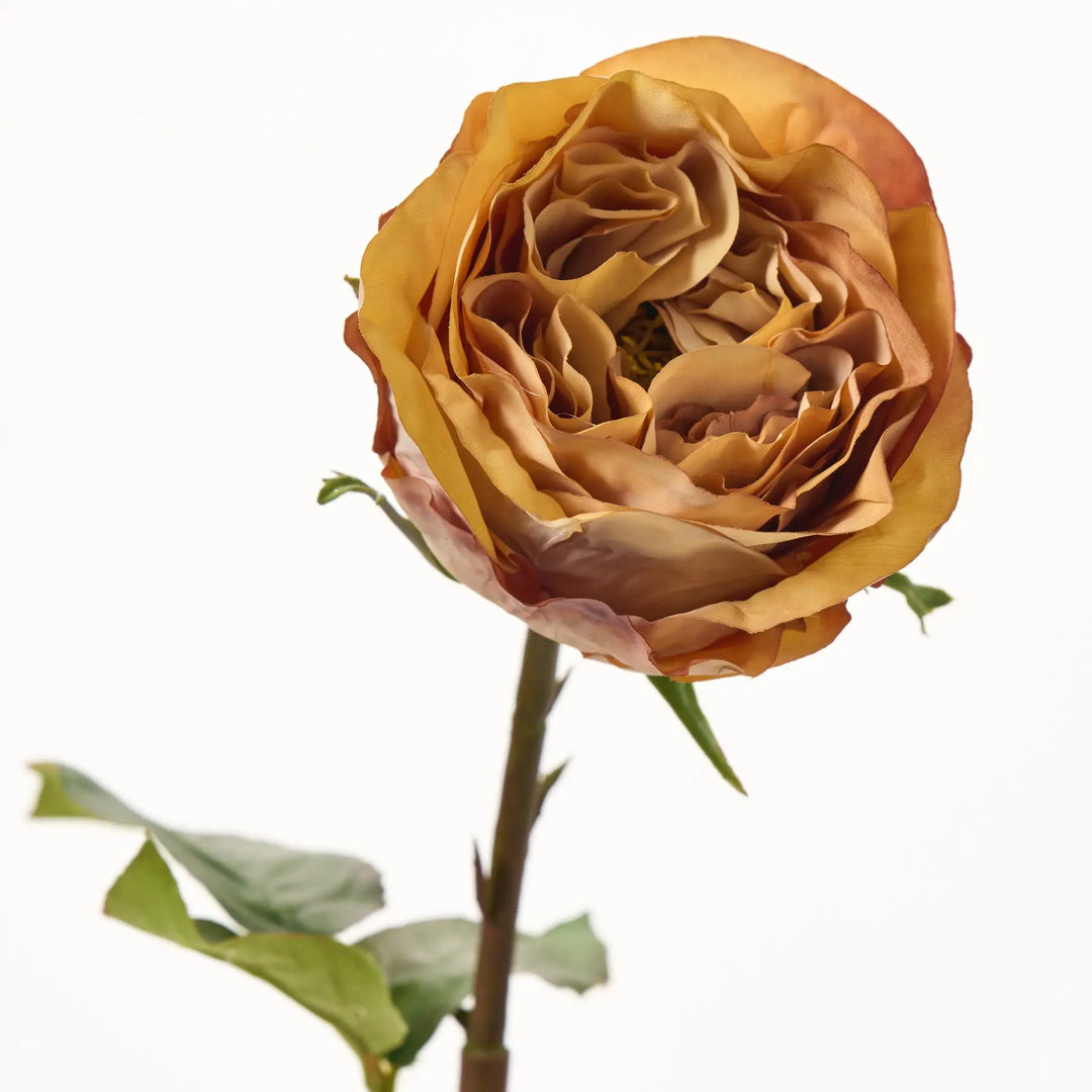 Toffee Brown Dutchess Rose Bloom Faux Floral Spray - 21