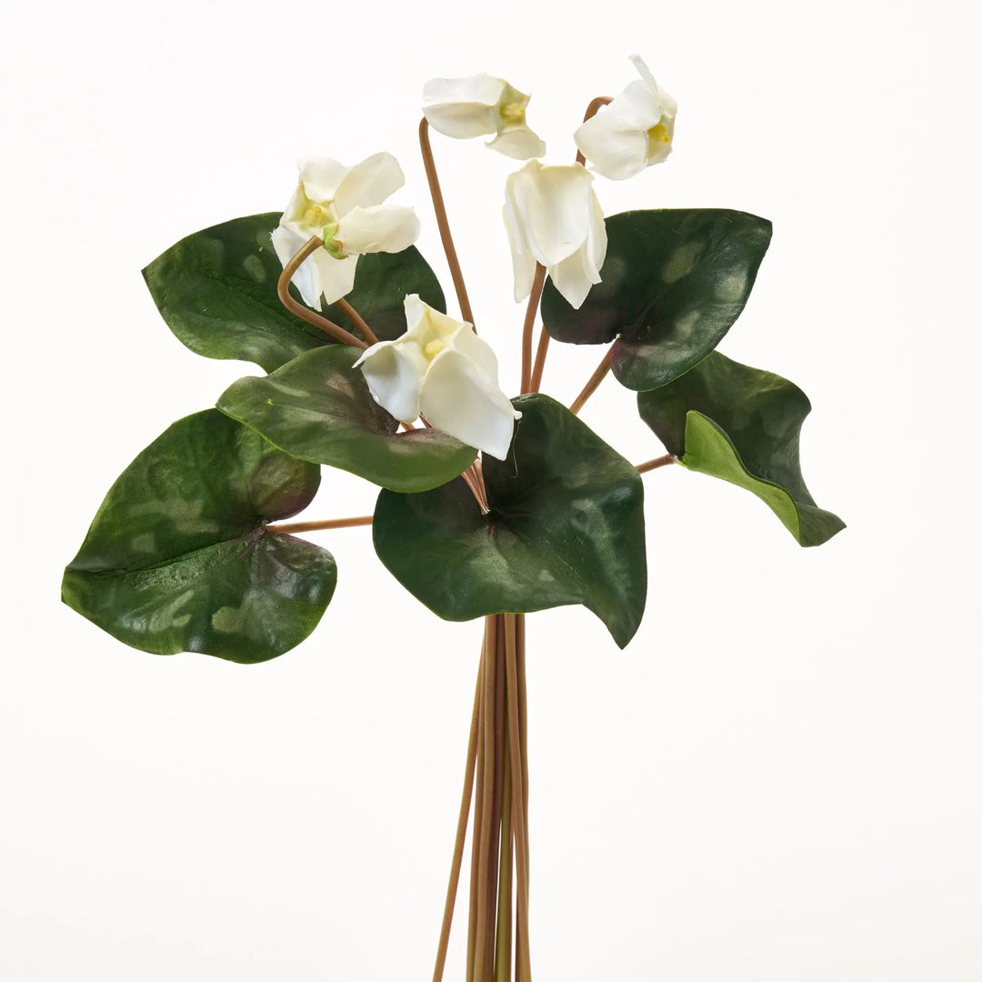 White Silk Cyclamen Bouquet of 12 Stems - 14