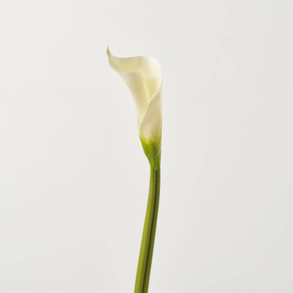 long stem white lilies Real Touch Elegant White Calla Lily Bud Single Long Stem Faux Floral Spray