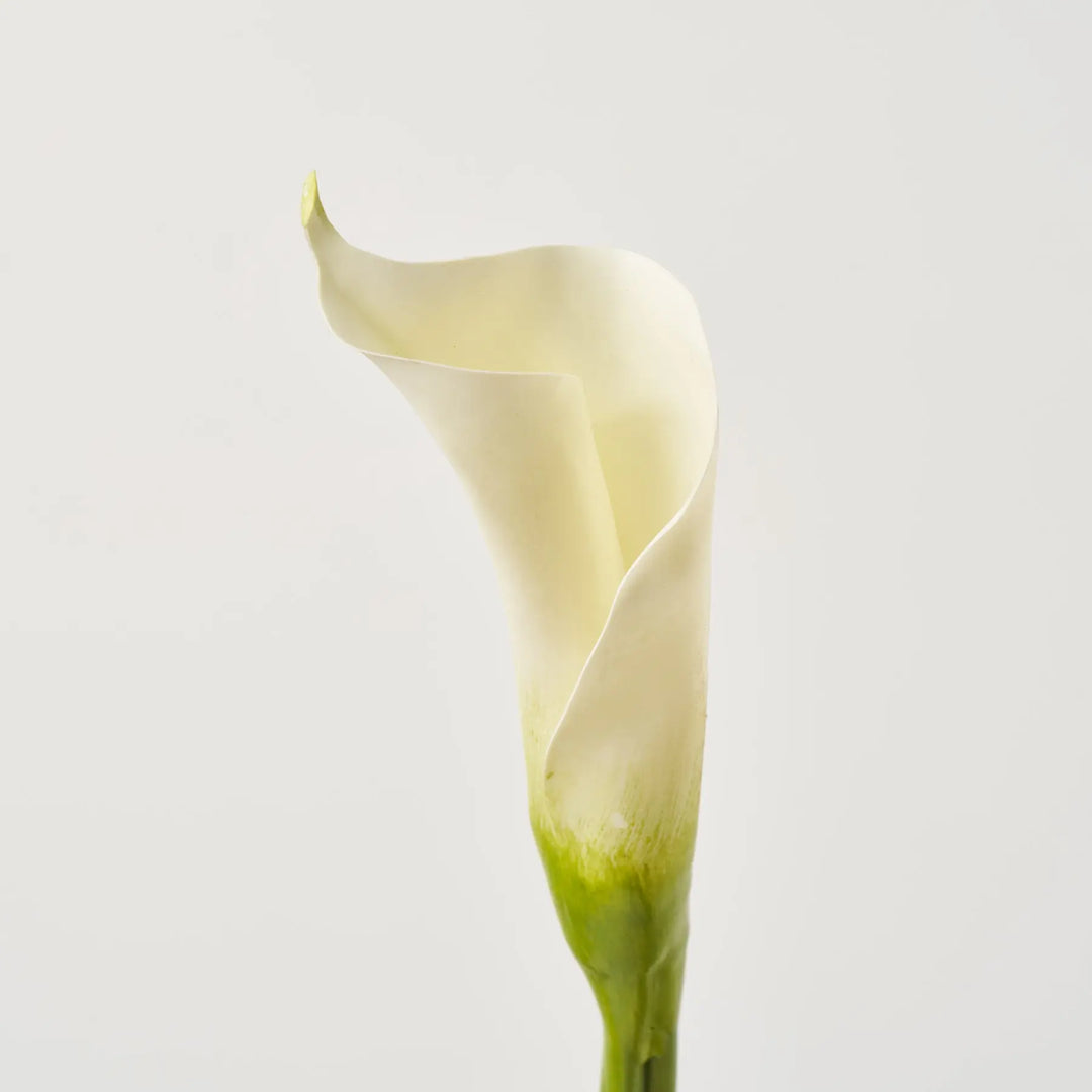real touch white calla lilies Real Touch Elegant White Calla Lily Bud Single Long Stem Faux Floral Spray