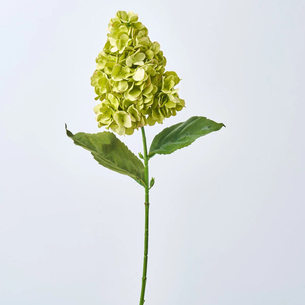 Green Peegee Hydrangea Stem 30