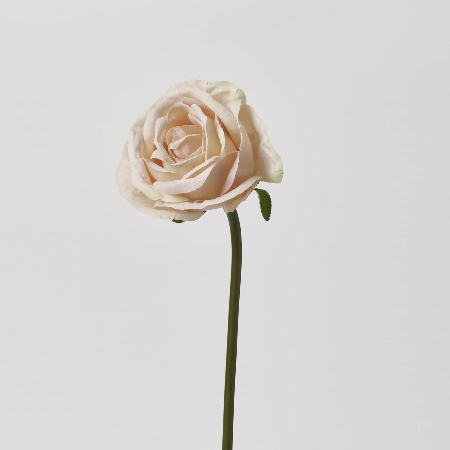 Cream Spray Roses Cream Rose Bloom Single Stem Faux Floral Spray - 19