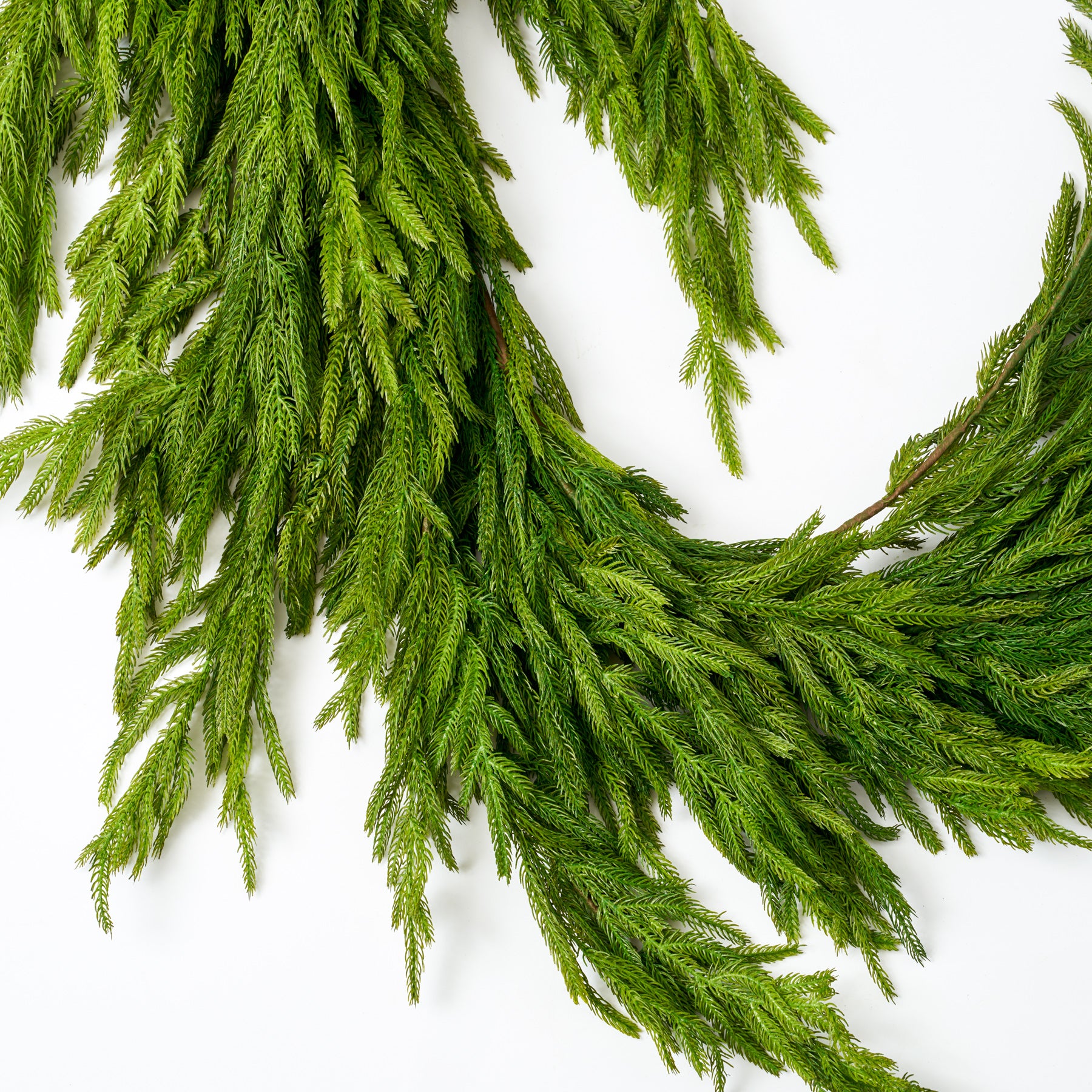 Draping Real Touch Norfolk Pine Garland Cascading Winter Greenery Chri ...