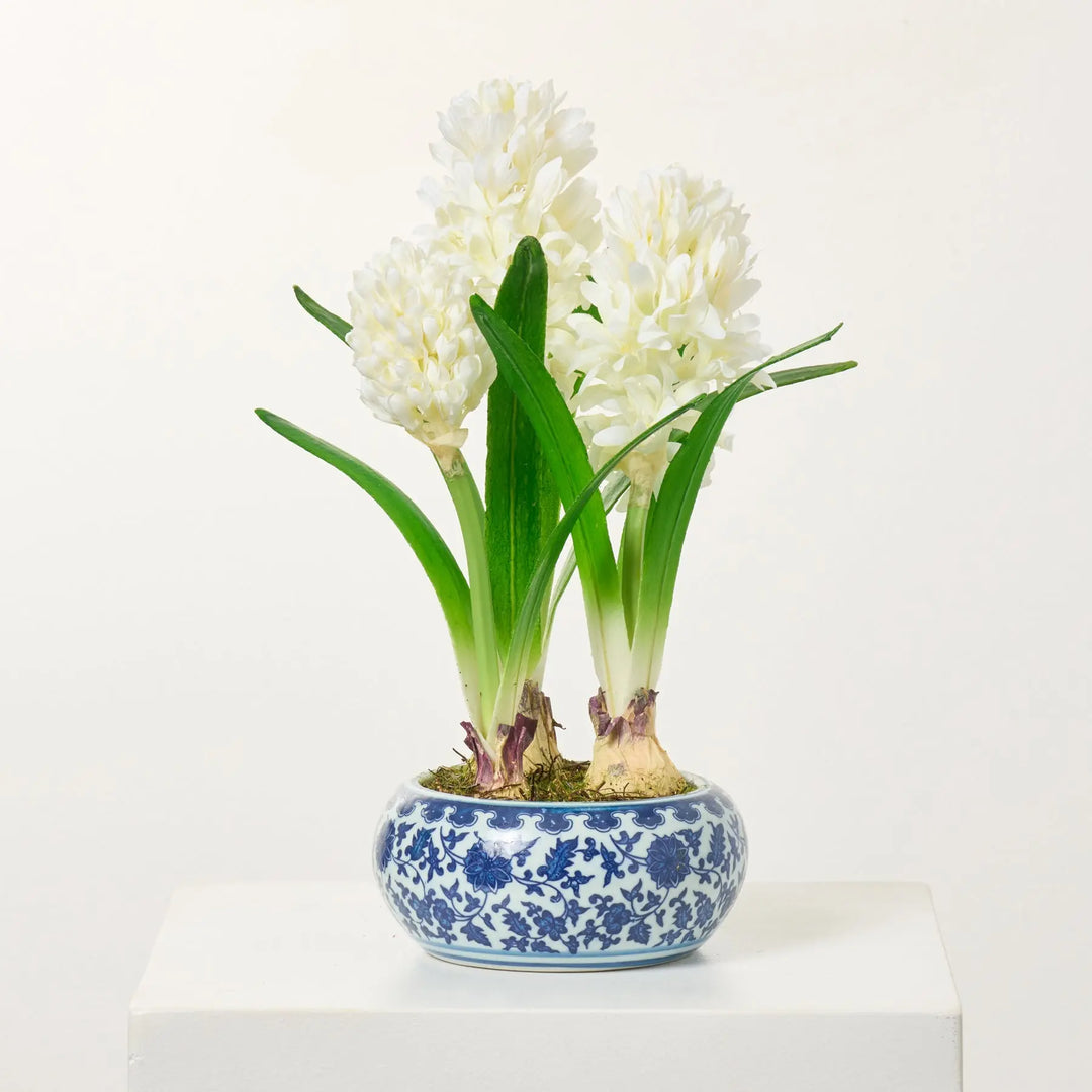 planting hyacinth bulbs in pots indoors White Hyacinth Bulbs Artificial Indoor Houseplant in Blue & White – Darby  Creek Trading