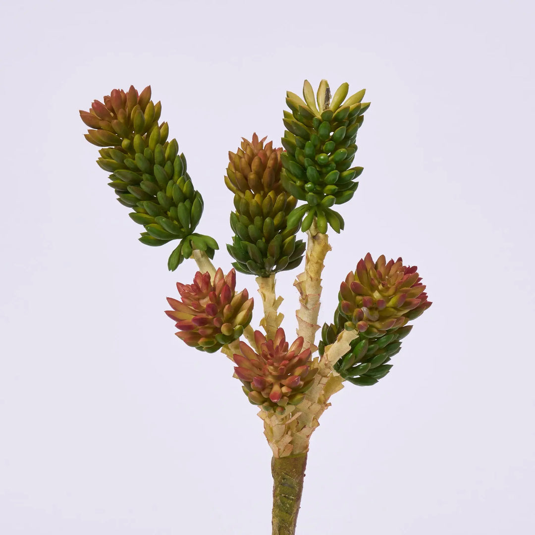 artificial succulent stems Joshua Succulent Stem Faux Soft PE Plant Spray - 13"