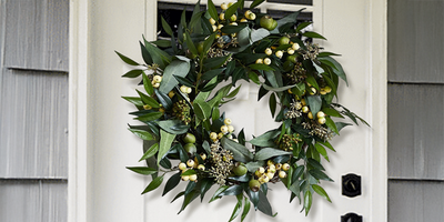 Natural Preserved Boxwood Wreath - Velvet Ribbon Everyday Decor