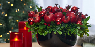 All Things Christmas