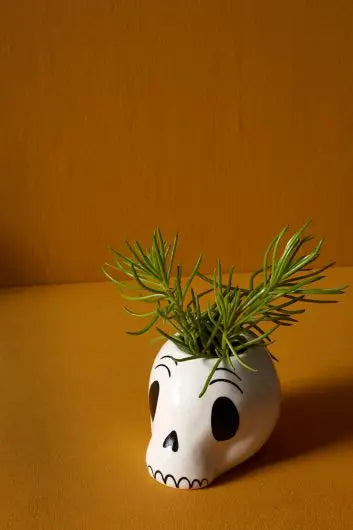 skull planter pot Accent Decor 5