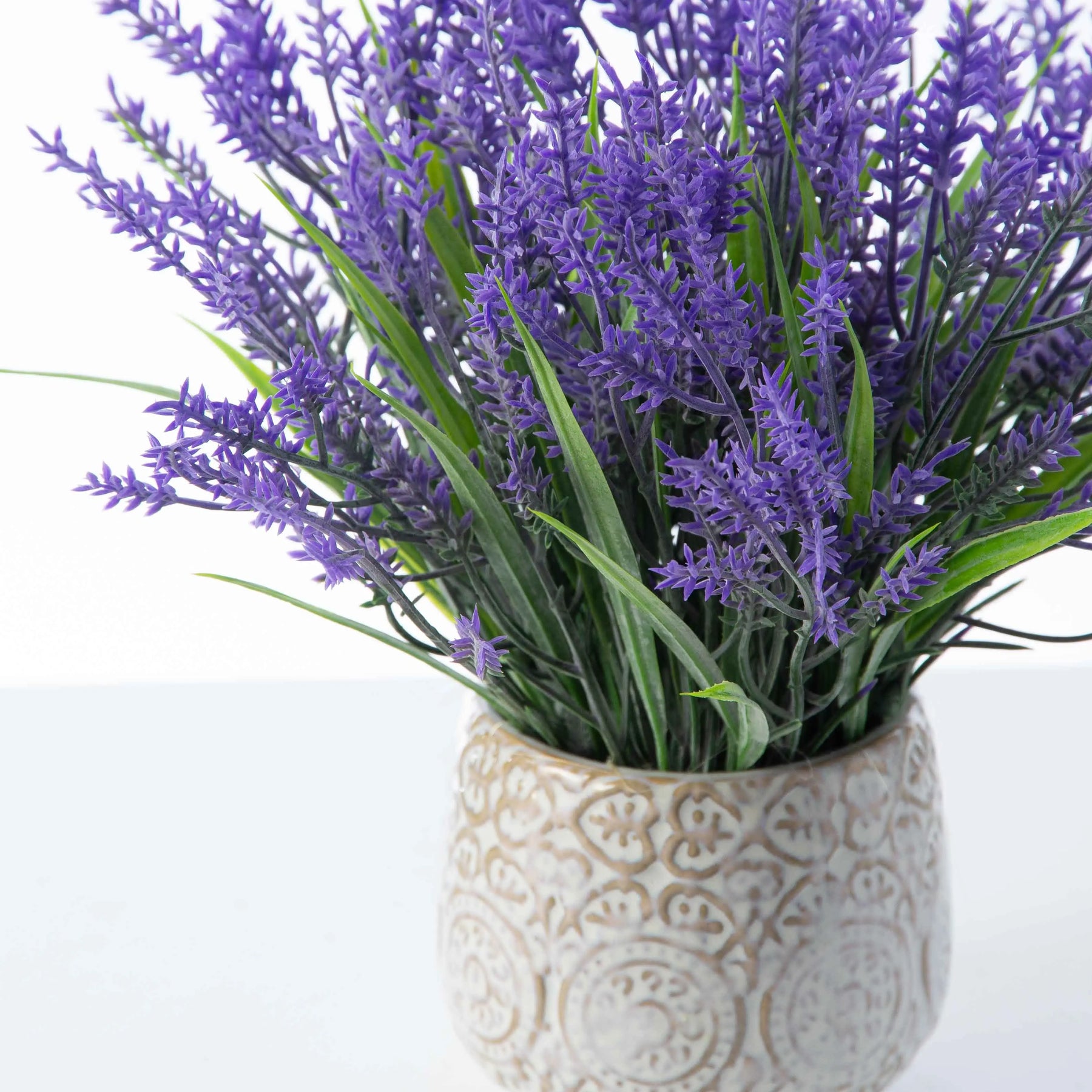 lavender rosemary plant Herbs de Provence