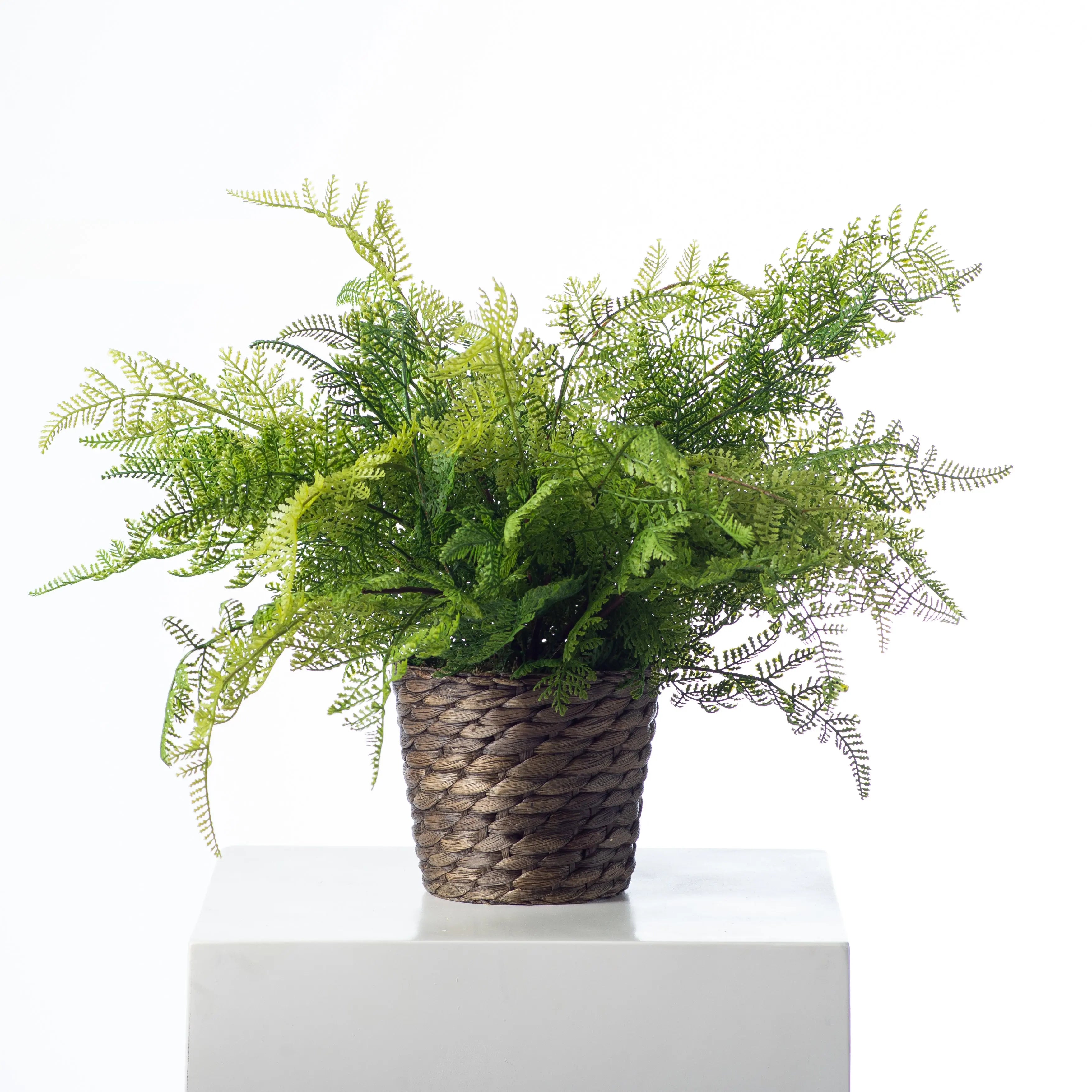 Lace Fern Faux Plant Everyday Spring Arrangement in Woven Basket