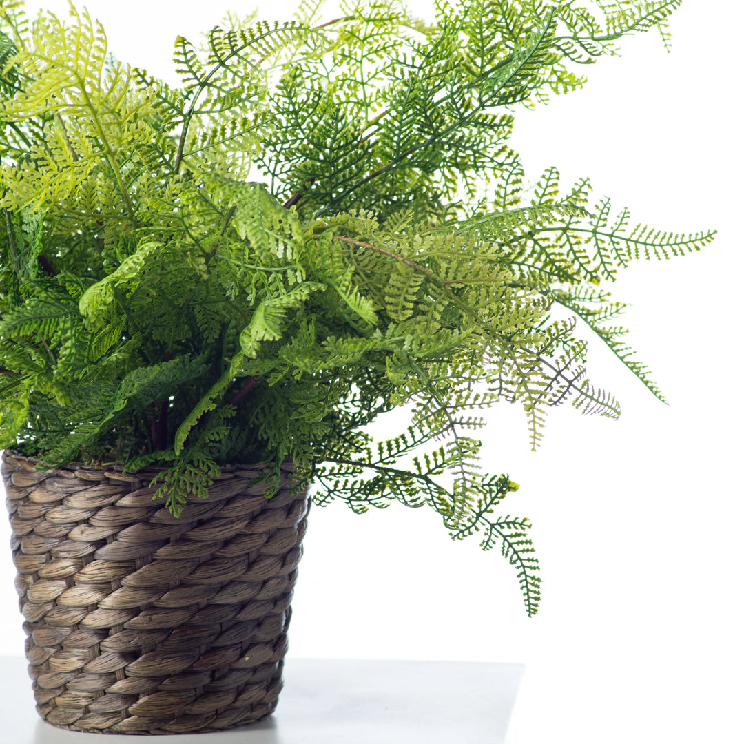 fake plant in woven basket Lace Fern Faux Plant Everyday Spring Arrangement in Woven Basket