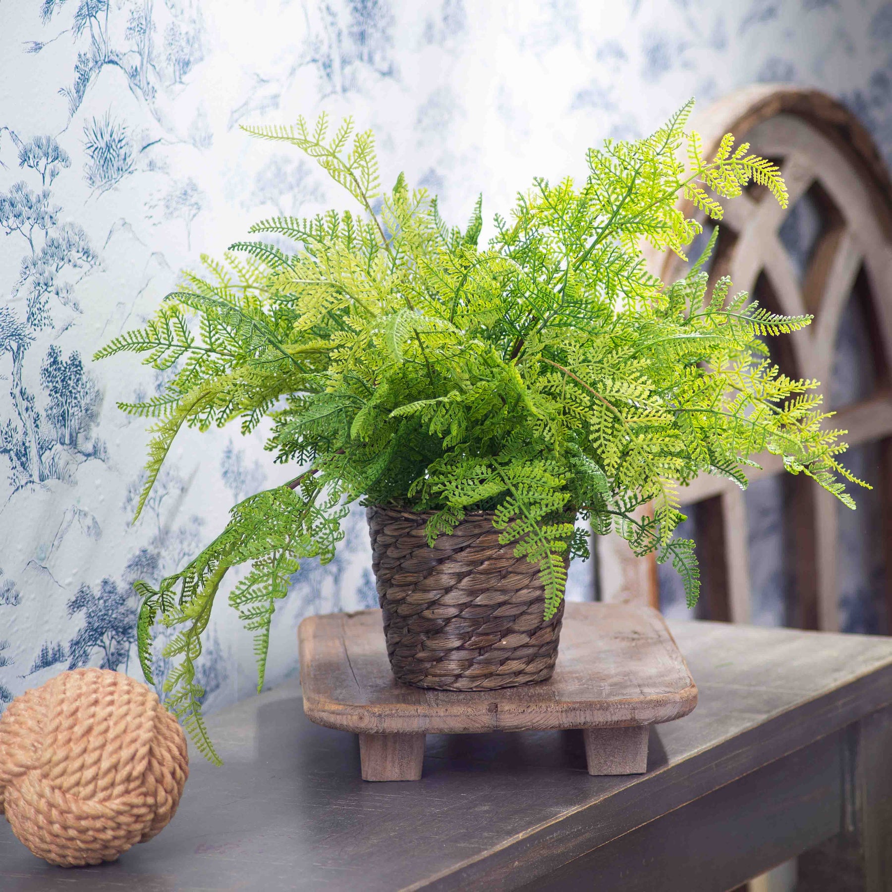 lace fern indoor plant Lace Fern Faux Plant Everyday Spring Arrangement in Woven Basket