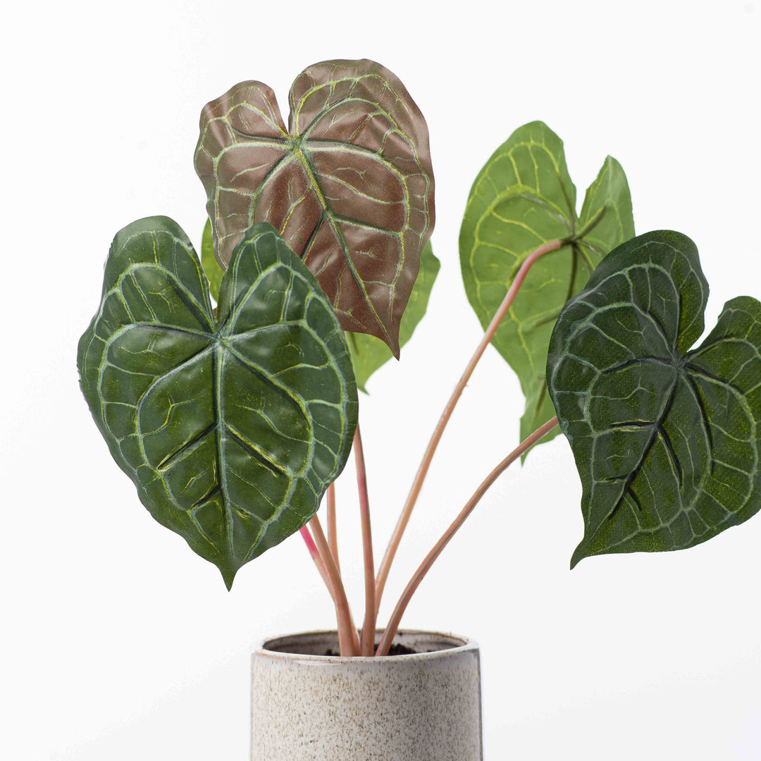 anthurium concrete Faux Anthurium Leaves Artificial Plant in Modern Glazed Concrete – Darby  Creek Trading