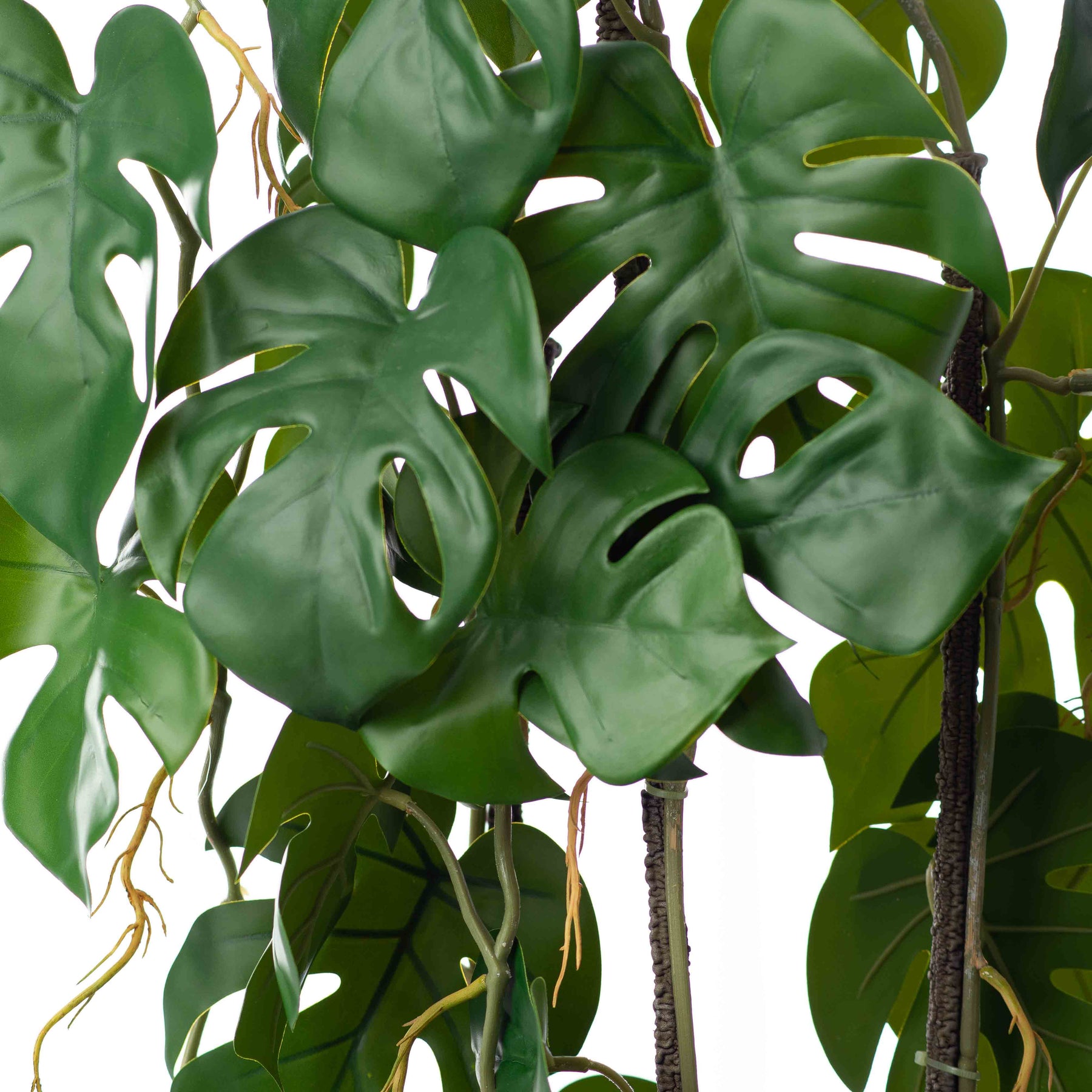 split leaf house plants Green Split Leaf Monstera Faux House Plant Arrangement Black Drop – Darby Creek Trading
