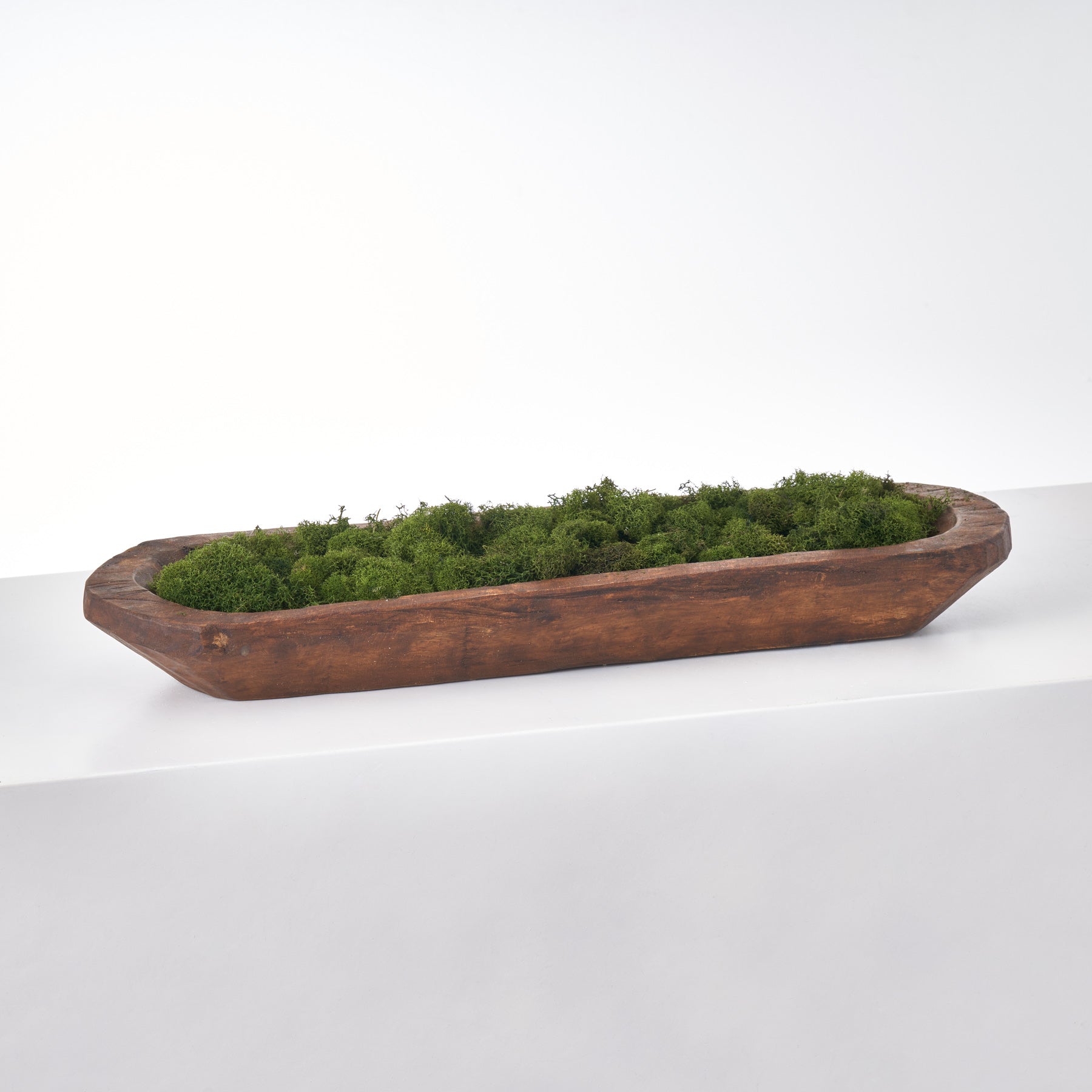 Autumn Embrace Moss Bowl Centerpiece – Moss Acres